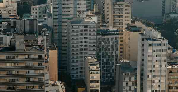 外国语单招大数据的行业文章