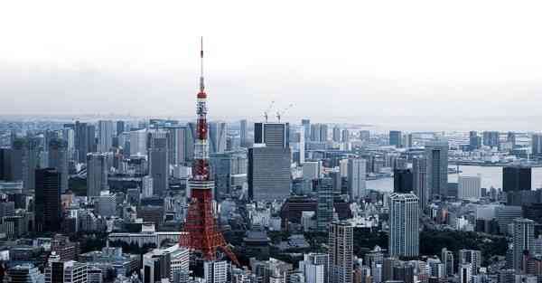 外国语单招大数据的行业文章