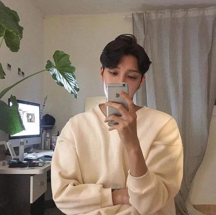 连妹豪黛