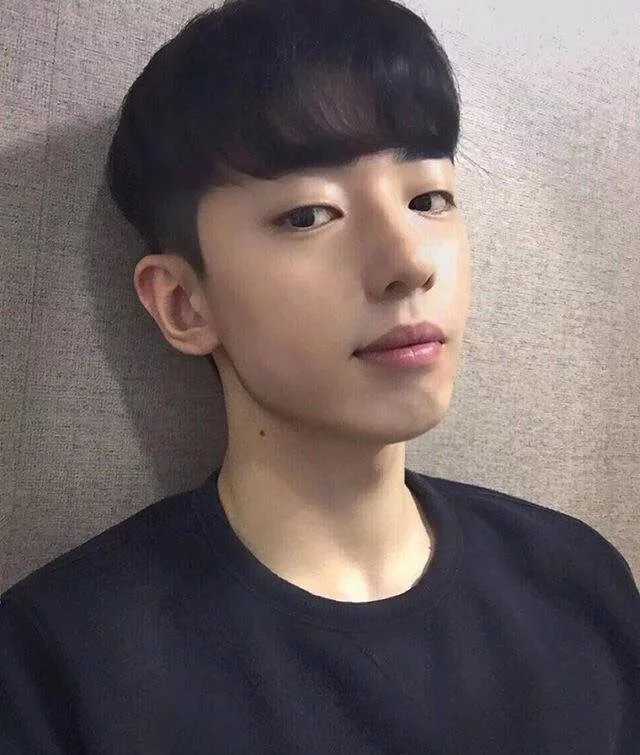 贺文菲健