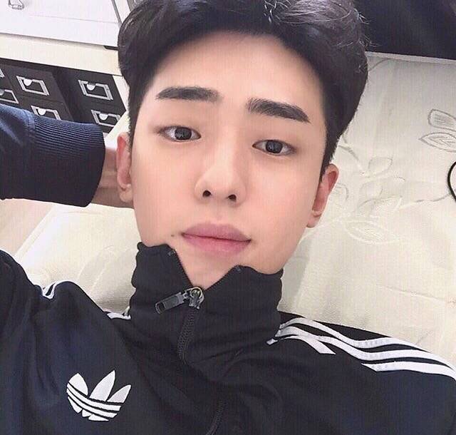钱瑾婵邦