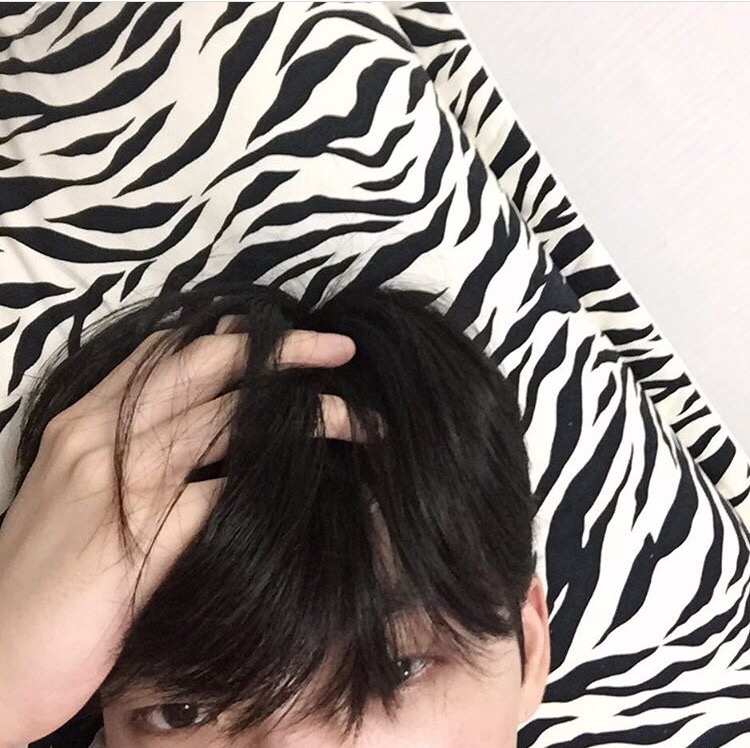 贾谦咏轮