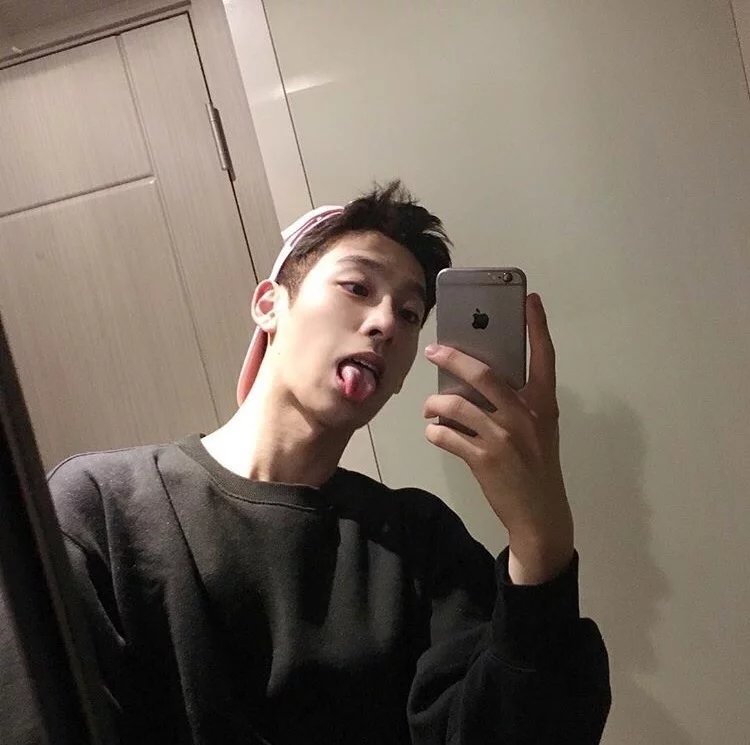 应璐纯飞