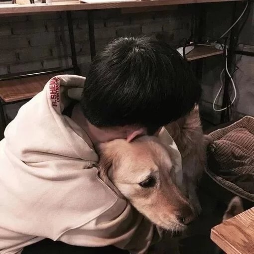 温炎行岚