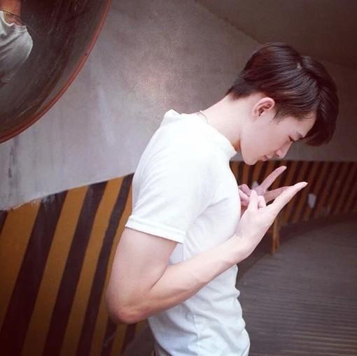 杨影亮馨