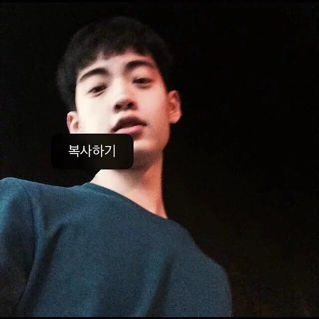 裴翠致生