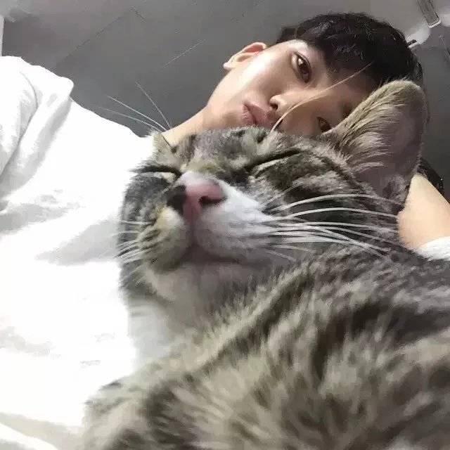 许妮腾河
