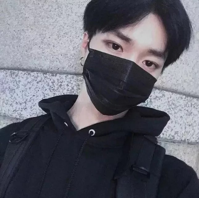 步林翔绿