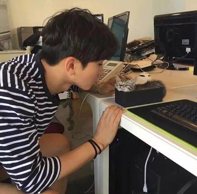 贾青艳萍